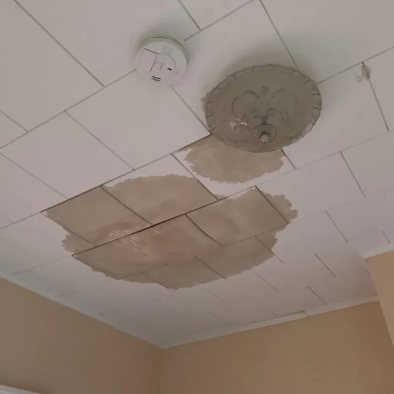 Ceiling Water Damage Repair in Vandercook Lake, MI