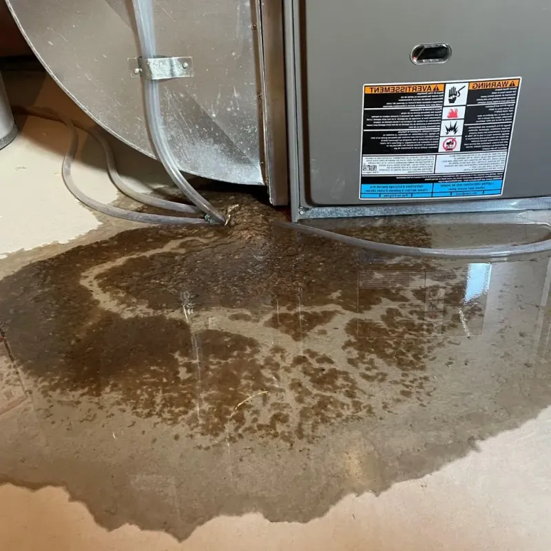 Pipe Burst and Leak Restoration in Vandercook Lake, MI
