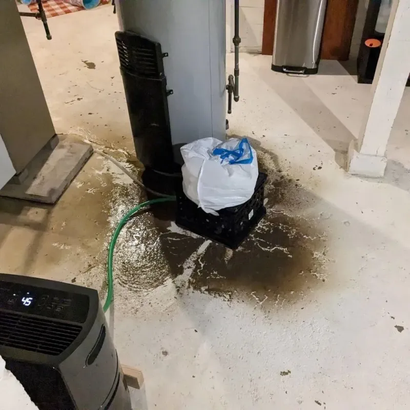 Sewage Backup Cleanup Service in Vandercook Lake, MI